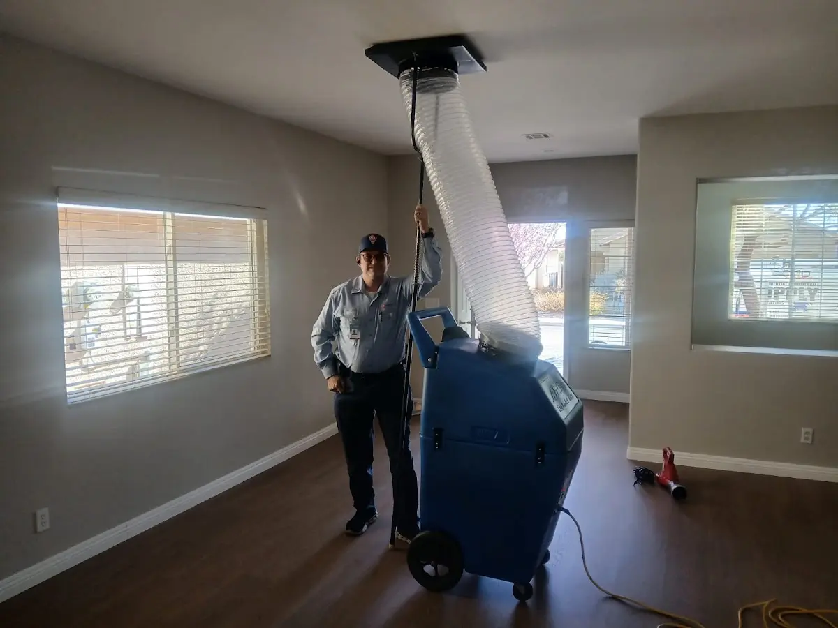 Professional Dryer Vent Cleaning work inside a Carrollton home